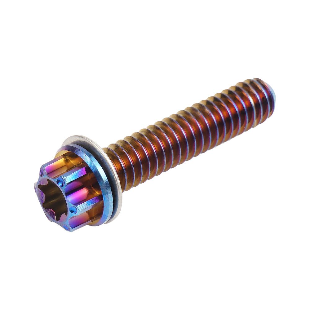 Cam Cover Screws Bolts For Harley Softail Standard Fat Boy Street Bob Low Rider Heritage