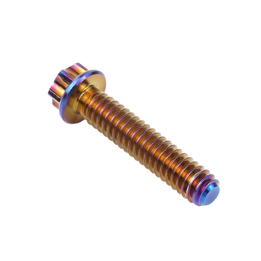 Cam Cover Screws Bolts For Harley Softail Standard Fat Boy Street Bob Low Rider Heritage