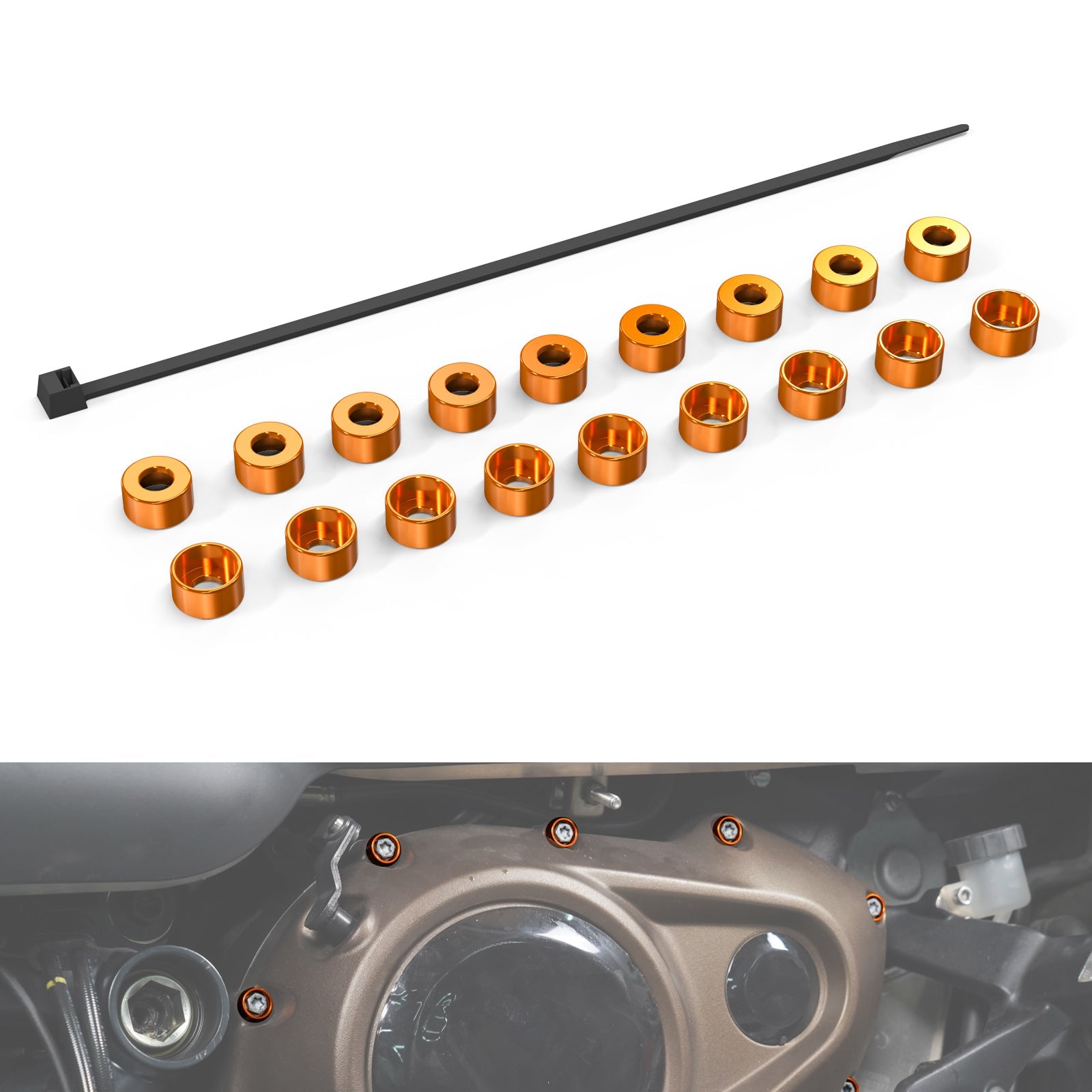 Primary Engine Cover Bolts Caps For Harley Sportster S Pan America 1250 Nightster
