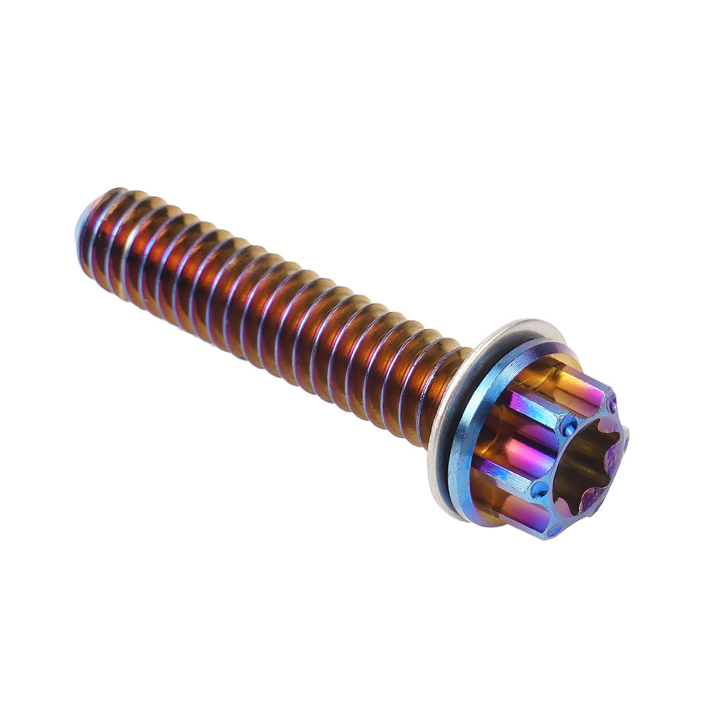 Cam Cover Screws Bolts For Harley Softail Standard Fat Boy Street Bob Low Rider Heritage
