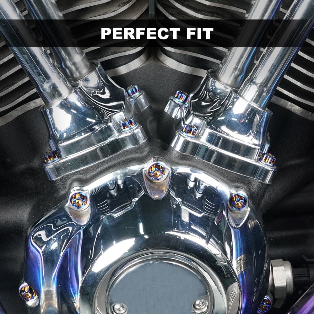 Cam Cover Screws Bolts For Harley Softail Standard Fat Boy Street Bob Low Rider Heritage